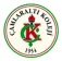 Çamlaraltı Koleji